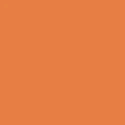 Tru-Color Paint 045 - Railroad Color Acrylic Paint - 1oz/29.6mL - Denver & Rio Grande Western Aspen Gold