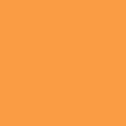 Tru-Color Paint 071 - Railroad Color Acrylic Paint - 1oz/29.6mL - Chesapeake & Ohio / Baltimore & Ohio Yellow