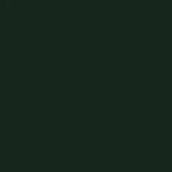 Tru-Color Paint 062 - Railroad Color Acrylic Paints - 1oz/29.6mL - Burlington Northern & Santa Fe Green