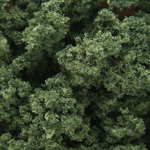 Woodland Scenics FC1646 1646 Bushes- Medium Green (32oz. Shaker)