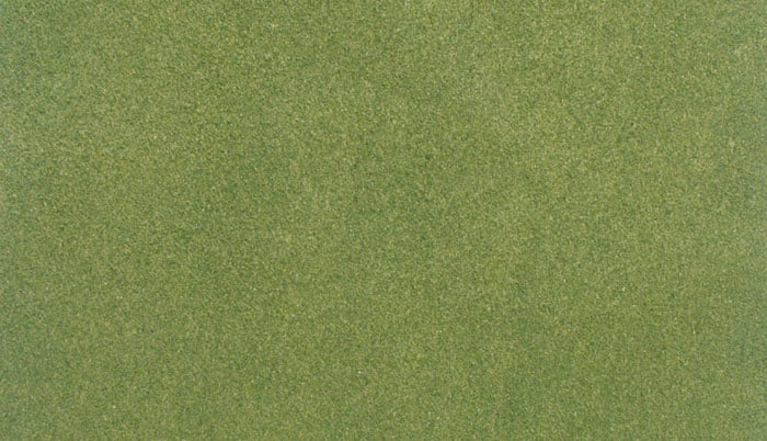 Woodland Scenics RG5141 14.25" x 12.5" Grass Mat, Spring
