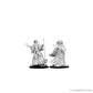 WIZKIDS 72619 D&D Nolzur’s Marvelous Miniatures: Human Female Wizard