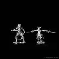 WIZKIDS 73708 D&D Nolzur's Marvelous Miniatures - Female Tabaxi Rogue