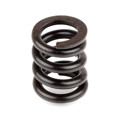 Associated 9739 Slipper Spring