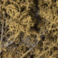 Woodland Scenics F1134 Fine-Leaf Foliage™ Dead Foliage