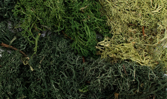 Woodland Scenics G 6501 EZ Bushes™ - Summer Mix
