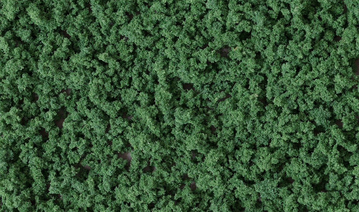 Woodland Scenics FC1637 1637 Dark Green