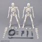Bandai 2815171 30 Minutes Fantasy Dlroskeleton Model Kit