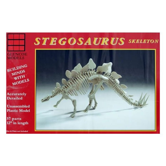 Glencoe 07907 Stegosaurus Skeleton