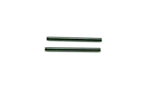 Redcat Racing 02036 Front Lower Inner Hinge Pin (2pcs)