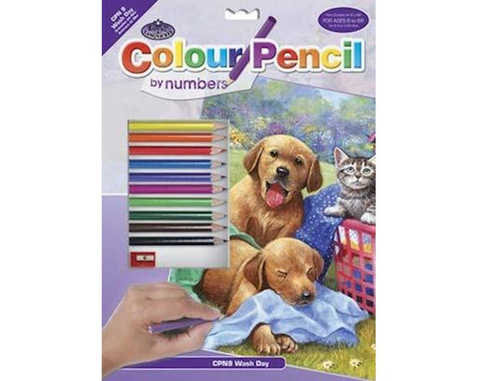 Royal Langnickel CPN9 Colour Pencil by Numbers Wash Day Fun