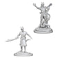 WIZKIDS 73388 D&D Nolzur's Marvelous Miniatures: Male Tiefling Warlock