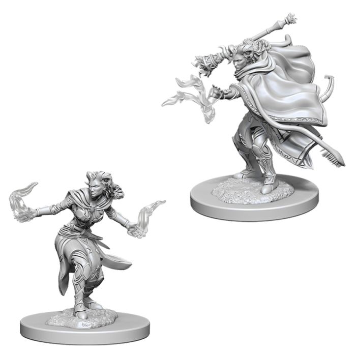 WIZKIDS 73389 D&D: NMU: Female Tiefling Warlock W6