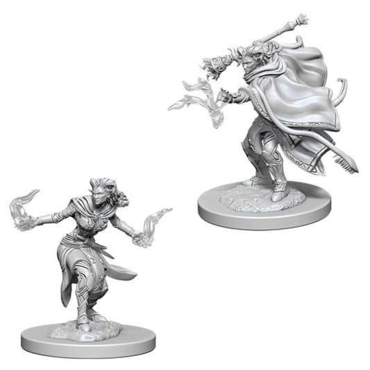WIZKIDS 73389 D&D: NMU: Female Tiefling Warlock W6