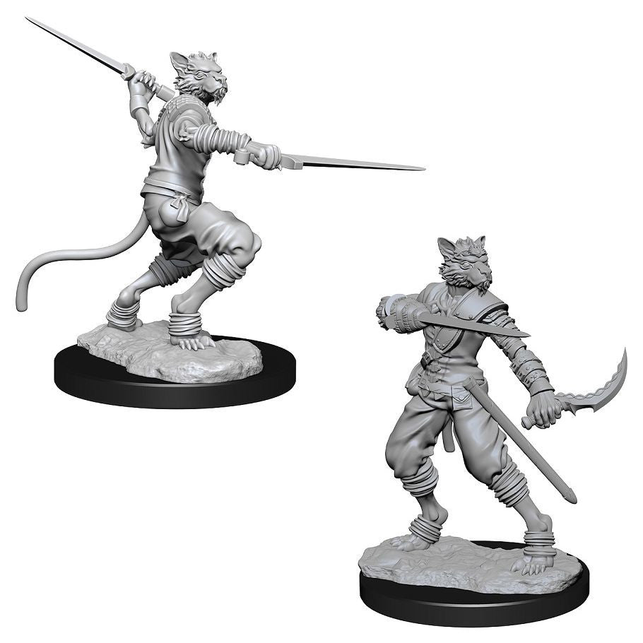 WIZKIDS 73540 D&D: Nolzur's Marvelous Minis: Male Tabaxi Rogue W7