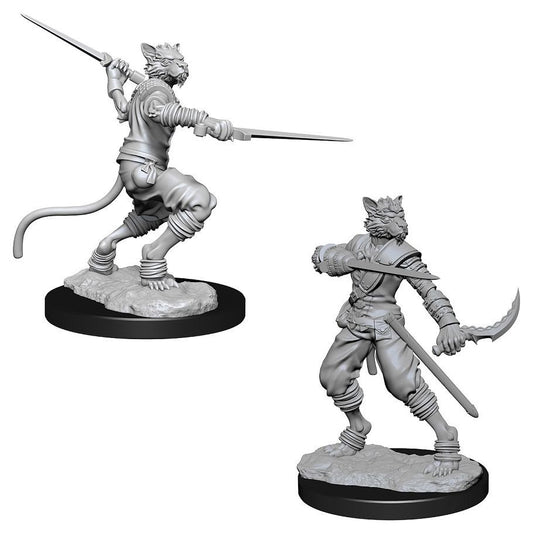 WIZKIDS 73540 D&D: Nolzur's Marvelous Minis: Male Tabaxi Rogue W7