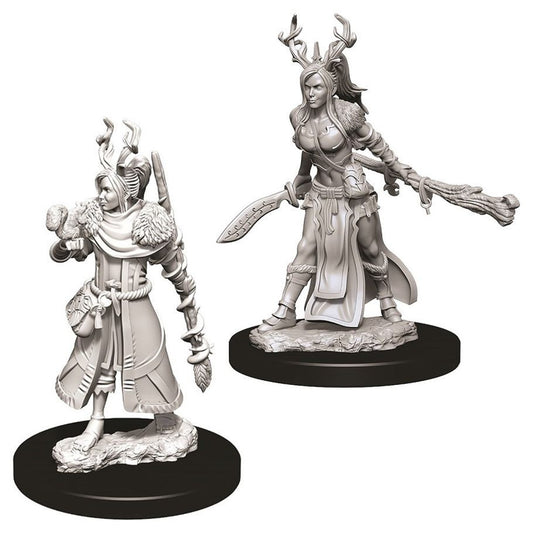 WIZKIDS 73701 D&D: Nolzur's Marvelous Minis: Female Human Druid W9