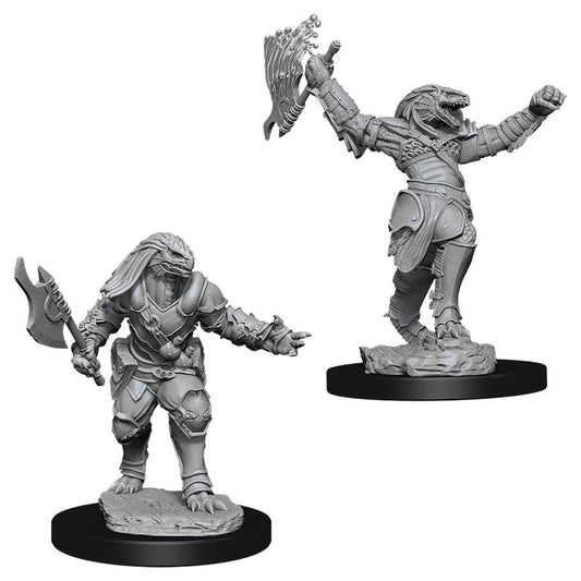 WIZKIDS 90001 D&D Nolzur's Marvelous MIniatures Female Dragonborn Fighter W11